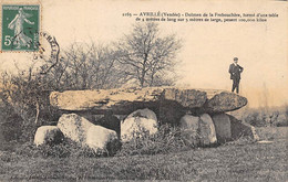 Delcampe - Thème: Dolmen Et Menhir:     Avrillé   85   Dolmen De La Frebouchère       (voir Scan) - Dolmen & Menhire
