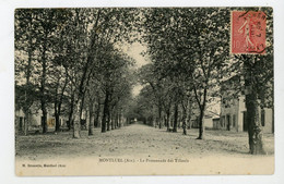 CPA: 01 - MONTLUEL - LA PROMENADE DES TILLEULS - - Montluel