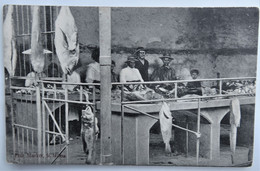 C. P. A. : SAINTE-HELENE, ST. HELENA : Fish Market - Sainte-Hélène