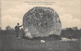 Thème: Dolmen Et Menhir:      Avrillé    85      Le Menhir      Molle -  (voir Scan) - Dolmen & Menhirs