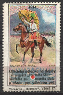 Bohemia Czechia RED CROSS WW1 1914 Austria Kriegsfürsorge Military WAR Aid Charity LABEL CINDERELLA VIGNETTE Karl HORSE - ...-1918 Voorfilatelie