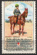 1914 ITALY RED CROSS WW1 Austria Kriegsfürsorge Military WAR Charity LABEL CINDERELLA VIGNETTE Horse GENERAL Albrecht - Propaganda Di Guerra