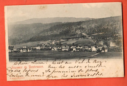 ZBL-12  Souvenir De Dombresson Val-de-Ruz Circulé 1899. - Dombresson 