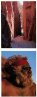 (S 21) Australian - 2 Attached Postcards  - NT - Pitjantjatjare Aboriginal Elder & Standley Chasm - Unclassified