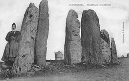 Thème: Dolmen Et Menhir:      Plouharnel  Menhirs Du  Vieux Moulin     (voir Scan) - Dolmen & Menhire