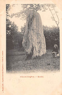 Thème: Dolmen Et Menhir:     Silly En Gouffren    61      Menhir      (voir Scan) - Dolmen & Menhirs