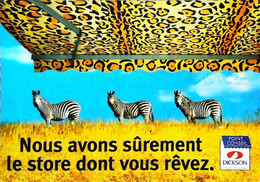 CPSM  Zèbre Publicité Store Dickson - Zebra's