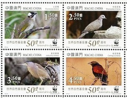 Macau, WWF, Birds, 2011, 4 Stamps - Altri
