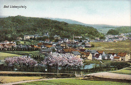 AK Bad Liebenstein - Panorama - Ca. 1910 (52259) - Bad Liebenstein