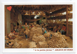 04877-LE-59-ARLEUX(VALLEE DE LA SENSEE)-LE TRESSAGE DE L'AIL-L.MERLIN-Producteur---------animée - Arleux