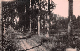 BRAY SUR SOMME     CHEMIN DES ETANGS - Bray Sur Somme