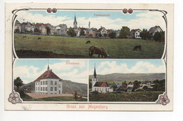 Gruss Aus MOGELSBERG Totalansicht Schulhaus Kirche Kühe - Mogelsberg