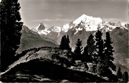 Riederalp - Aletschgebiet (13235) * 3. 9. 1958 - Phot. Gyger - Riederalp