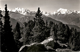 Blick Vom Riederhorn Ob Riederalp (13234) * 25. 9. 1967 - Riederalp