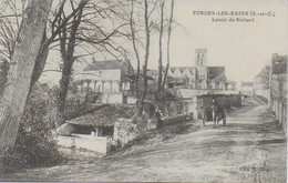 Forges Les Bains - Lavoir Du Richard - Autres & Non Classés