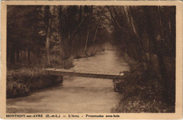 CPA MONTIGNY-sur-AVRE - L'Avre - Promenades Sous-bois (33623) - Montigny-sur-Avre