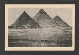 Egypt - RARE - Old Photo - The Pyramids Of Giza - Storia Postale