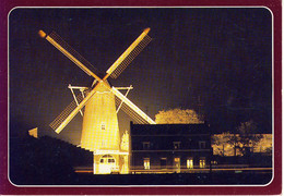 Kinrooi Lemmens Molen - Kinrooi