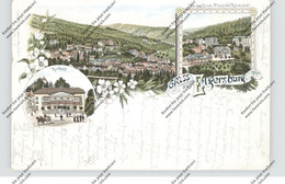 0-6303 BAD ELGERSBURG, Lithographie 1896, Kurhaus, Kuranstalt, Gesamtansicht - Elgersburg