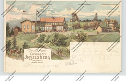 0-6083 BROTTERODE, Gruß Vom Großen Inselsberg, Lithographie - Schmalkalden