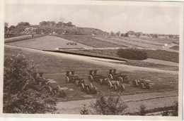 Borsbeek, Fort III, Groententuin, 2 Scans - Borsbeek