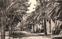 Ajaccio * Avenue Du Premier Consul - Ajaccio