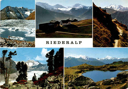 Riederalp - 5 Bilder (44900) * 29. 7. 1969 - Riederalp