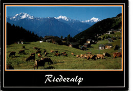 Riederalp (44610) * 10. 8. 1994 - Riederalp