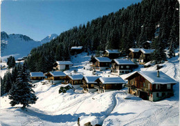 Goppisbergeralp Bei Riederalp, Wallis  (44755) * 16. 2. 1988 - Riederalp