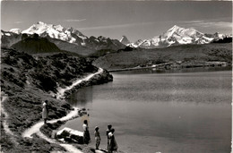 Der Bettmersee Auf Bettmeralp (44240) * 20. 6. 1963 - Bettmeralp