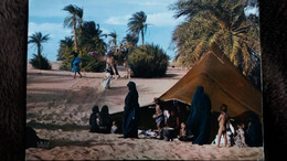 CPSM REPUBLIQUE ISLAMIQUE DE MAURITANIE LA VIE SOUS LA TENTE NOMADES DU DESERT ED HOA QUI - Mauretanien