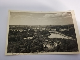 CPA CARTE PHOTO SUEDE STOCKHOLM VUE DE SKANSEN RARE BELLE CARTE !! - Suède