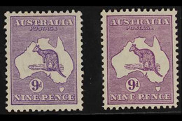 1931-36  9d Violet And 9d Purple Roo, BW 29A & 29C (SG 133), Very Fine Mint, Nice Centring, Very Fresh. (2 Stamps) For M - Other & Unclassified