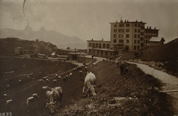 Suisse (VD) Caux // Grand Hotel Des Rochers De Naye 1920 - Roche