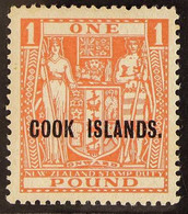 1943-54  POSTAL FISCAL £1 Pink (Wmk 98), SG 134, Never Hinged Mint For More Images, Please Visit Http://www.sandafayre.c - Cook Islands