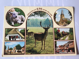 Nederland  Pays-Bas Holland. Epe ( Schaap Hert Paard Kerk Auto ) - Epe