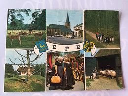 Nederland  Pays-Bas Holland. Epe ( Hert Kerk Auto Klederdracht Schaap Hond Boer Paard Pauw ) - Epe