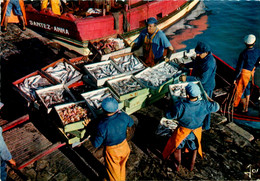 La Turballe * Retour De Pêche Sur La Côte Bretonne * Pêcheurs * Bateau SANTEZ ANNA - La Turballe