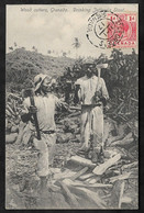 CPA Grenade Wood Cutters, Grenada, Drinking Jeffrey's Stout - Grenada