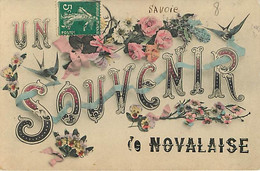 73 Souvenir De Novalaise - La Motte Servolex