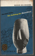 Bucher Des Wissens  Der Aufstieg Der Menschheit  Fischer Bucherei  1955 - Archäologie