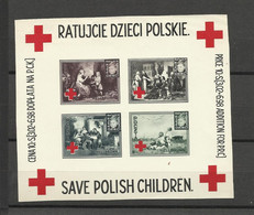 Pologne BF Save Polish Children  Croix Rouge Hellbrunn Poland  Polen Polska Guerre 39/45 - Vignette Della Liberazione