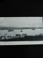 Falkland Islands - Stanley Harbourg, Looking North - Islas Malvinas