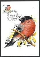 OCB Nr 2295 Fauna Buzin  Stempel   Bruxelles - Brussel - 1985-.. Birds (Buzin)