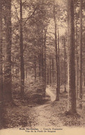 Rode Ste Genese, GRande Espinette, Vue De La Forêt De Soignies (pk71105) - St-Genesius-Rode