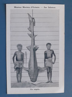 Missions Maristes D'Océanie - Iles Salomon - Un Requin - Salomon