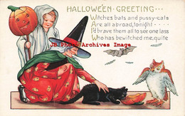 326023-Halloween, Whitney No WNY25-2, Witch Pets Black Cat, Owl, Bat, Boy Ghost - Halloween