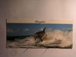 Animaux & Faune > Dauphins - 210 Mm X 90 Mm - Dauphins