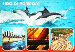 CPSM // Dauphin Dolphin  Lido Di ¨Pomposa - Dauphins