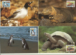 LOT 4 CARTES MAXIMUM WWF EQUATEUR  / FAUNE DES GALAPAGOS. - Cartoline Maximum